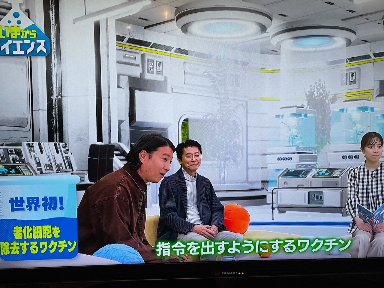 8ab1c5b4859a8b9ea9a02ca3d89e7300-1765431968.jpeg 8ab1c5b4859a8b9ea9a02ca3d89e7300-1765431968.jpeg