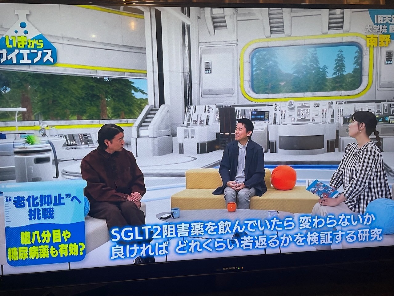 2730caff7a94d1ab128b92affdfd11aa-1765431963.jpeg 2730caff7a94d1ab128b92affdfd11aa-1765431963.jpeg