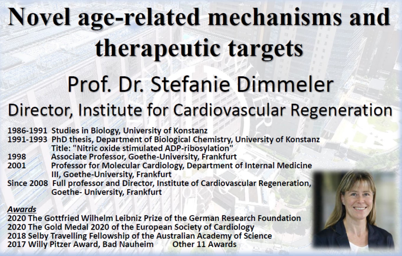 Novel age-related mechanisms and therapeutic targets.